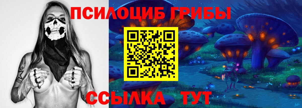 Галлюциногенные грибы мухоморы Курчатов